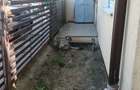 Vand apartament Magnolia la vila - 3