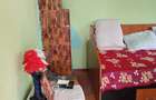 Casă cu 2 camere cu Teren 1200 Mp în Bucinișu - 3