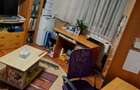 Apartament cu 2 camere decomandat în Giurgiului - 8