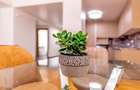 Apartament cu 2 camere decomandat în Drumul Poienii - 8