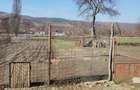 Casă cu Teren 4642 Mp în Bârsău - 3