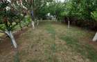 1 2 Duplex de vanzare - 3