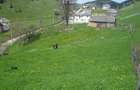 Teren intravilan superb, cu priveli?te ?i utilita?i 1750mp - 2