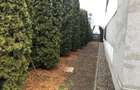 Apartament cu 4 camere decomandat în Băneasa - 6
