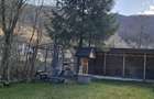 Casă cu 3 camere cu Teren 768 Mp în Central - 5