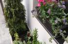 Hotel/Pensiune, de 30 mp, în Ultracentral - 8