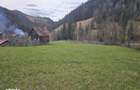 Teren de vanzare in Bucovina Fundu Moldovei - 4