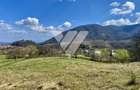 Teren agricol de 6630 mp, în Cisnădioara - 3