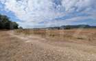 Teren extravilan de vanzare, 10.000 mp, zona Mures - 2
