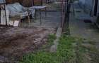 Casă cu 5 camere cu Teren 403 Mp în Coiciu - 6