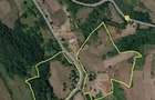 Teren intravilan in zona de dealuri 67000mp - 7