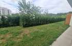 Apartament cu 3 camere decomandat în Băneasa - 2