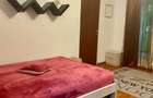 Tineretului-Parc-metrou 2 minute | dog friendly | garsoniera - 7
