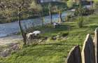 Casa 7 camere P+1, Bd. Ion Mihalache, Campulung Muscel - 6