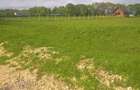 Teren Construcții intravilan de 2800 mp, în Glăjărie - 4