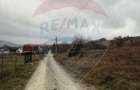 Teren intravilan de vanzare 2.307 mp - Salicea, comuna Ciurila - 9