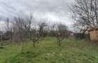 Casa cu livada / Teren intravilan / Sacel - 1350 mp Pozitie centrala - 5