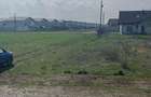 Teren Construcții de 600 mp, în Tunari - 2