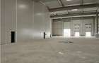 Spatiu Industrial - 3500 mp - Productie - Depozitare - Logistica - Distributie - 12
