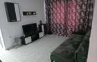 Apartament 2 camere etaj 1 viziru - 2