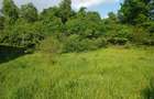 Vand teren 8.000 mp in Faget (zona D.D. Rosca) - 2