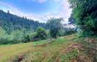 Teren intravilan, 31 ari, Ilva Mica, zona montana - 8
