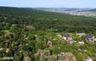 Casa cu teren | Platoul Corne?ti | 99.000 - 5
