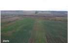 Teren Albesti, Vaslui, ID: R2893960 - 7