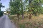 Vand teren intravilan - 4