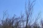 Casă cu Teren 18500 Mp în Armășești - 3