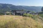 Teren intravilan de 1251 mp, în Central - 2