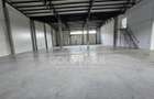 Spatiu Comercial/Hala - Baciu - Constructie Noua/Parcare - 25