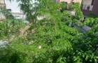 Casă cu 5 camere cu Canalizare în Sălaj - 7