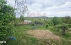 Teren 5,350mp Dobreni / Strada Manastirea Horaita - 1