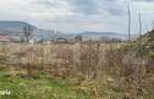 Teren Pentru Constructii 9292 mp- zona Cuzdrioara - 5