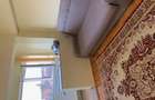 Oferta inchiriere apartament 2 camere in Timisoara - 9
