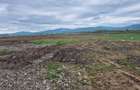 Carpinis/Tarlungeni, teren intravilan 1450 mp, construibili - 4