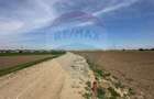 Teren 545,000mp Dragomiresti-Vale