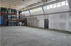 Spațiu industrial, de 1,000 mp, în Vest - 17