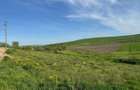 Teren intravilan,3950mp. Rosiorii! - 1