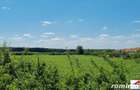 Teren extravilan 3,56 hectare in Dorolt ( ID 22873) - 5