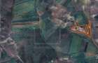 Teren agricol de 40000 mp, în Cojocna - 2