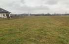 Teren pretabil construc?ii/investi?ii | 26.000 mp| Horodnicu de Sus - 6