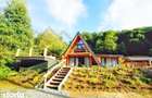 Cabana A-frame ,, Padurea Cerbilor - 14