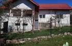 Vila cocheta de vanzare in Valcea, Bogdanesti (Tomsani) - 15