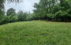 Terem de vanzare Setea Potoc 13.000 m2 - 15