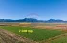 Teren agricol intravilan de 7500 mp, în Tărlungeni - 5