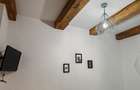 Apartament 4 camere renovat, 3 unitati regim hotelier zona Centrul Istoric - 17
