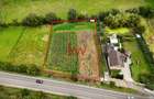 Teren Construcții intravilan de 2451 mp, în Bunești - 4