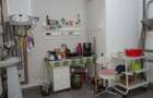 Apartament 3 camere decomandat, parter, zona centrala, 80 mp, renovat - 4